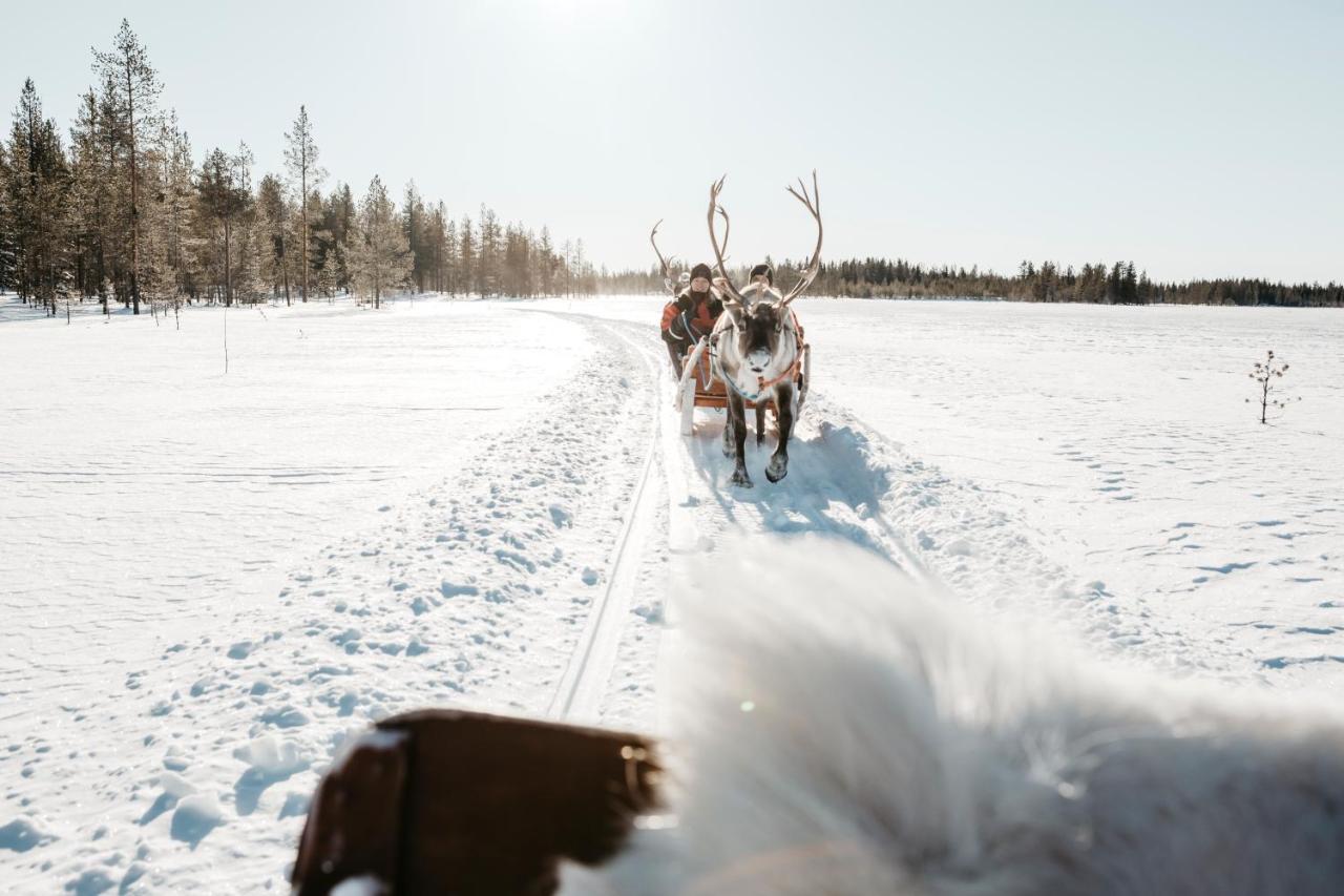 Lapland Riekonlinna 4* Saariselkä