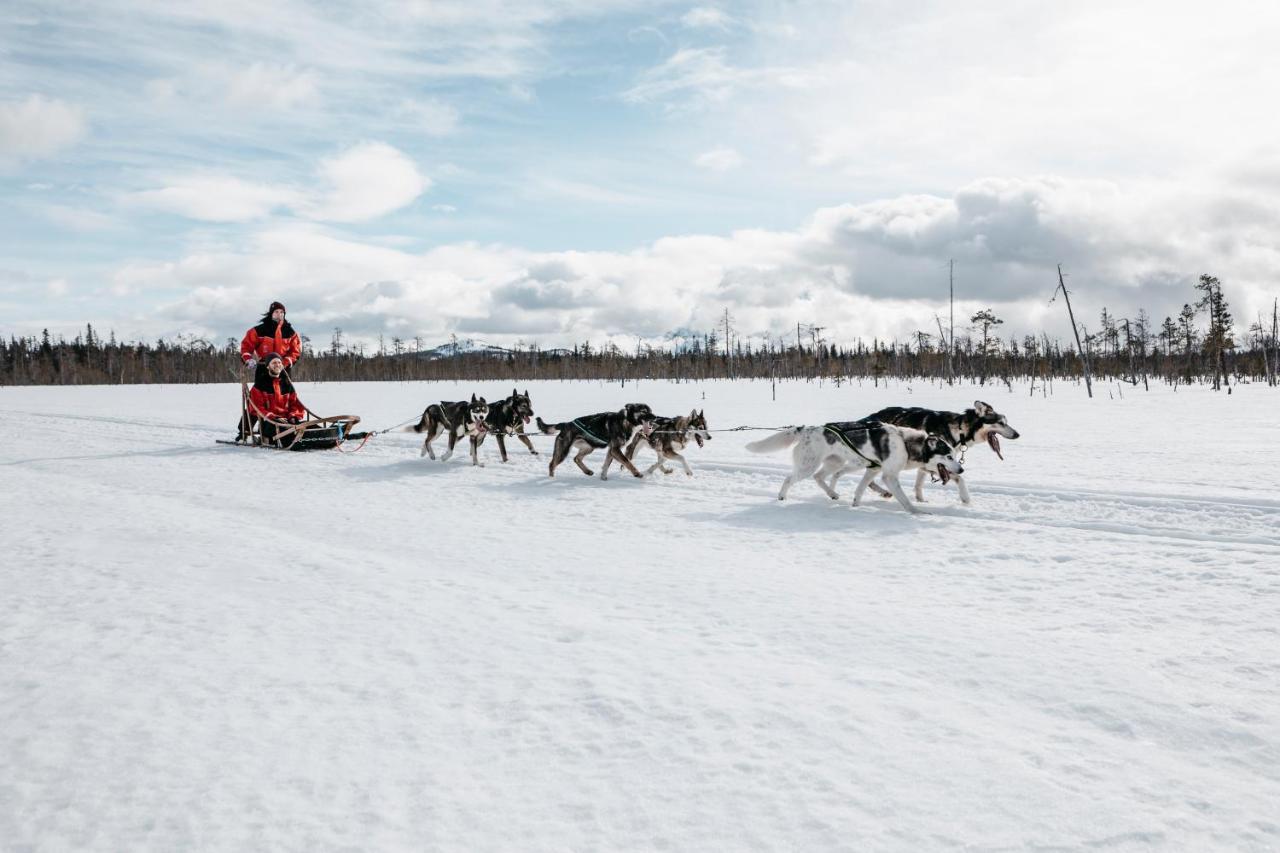 Lapland Riekonlinna 4* Saariselkä